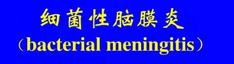 影像PPT - 【PPT】新生儿头部核磁共振成像-35