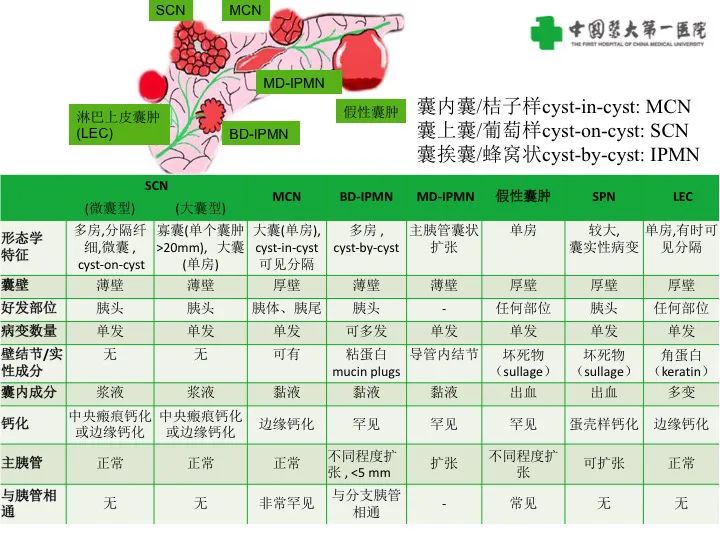 影像PPT - 【PPT】胰腺囊性病变影像学诊断要点与误区-5