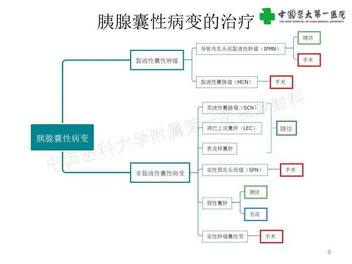 影像PPT - 【PPT】胰腺囊性病变影像学诊断要点与误区-9