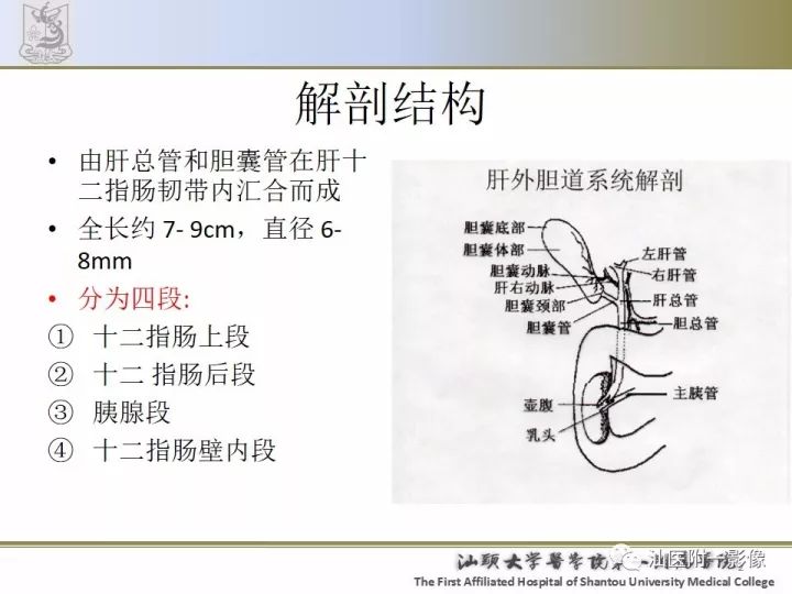 影像PPT - 【PPT】先天性胆总管囊肿影像学诊断-2