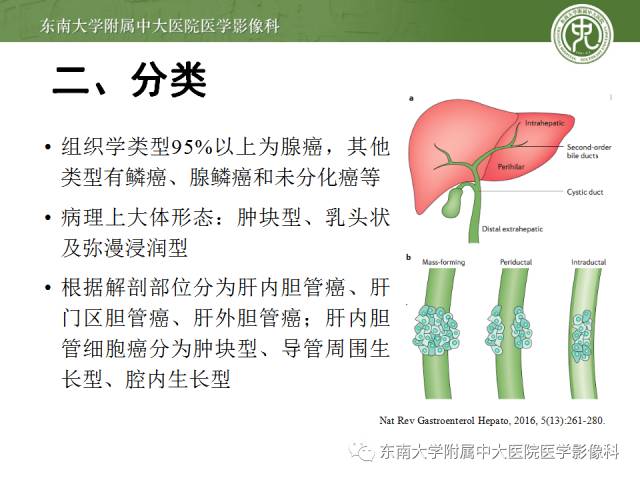 影像PPT - 【病例】肝脏胆管细胞癌1例MR影像-11