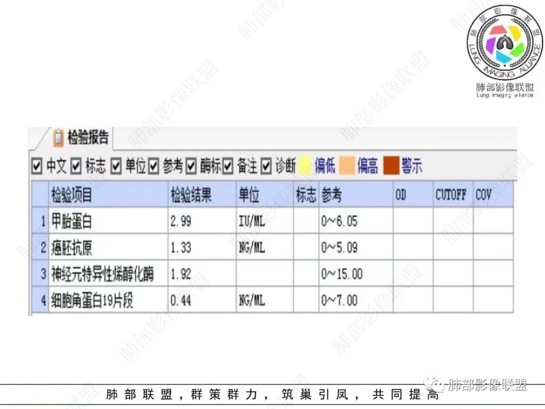 影像PPT - 【病例】 最经典的肺炎型肺癌1例CT-4 影像PPT - 【病例】 最经典的肺炎型肺癌1例CT-4