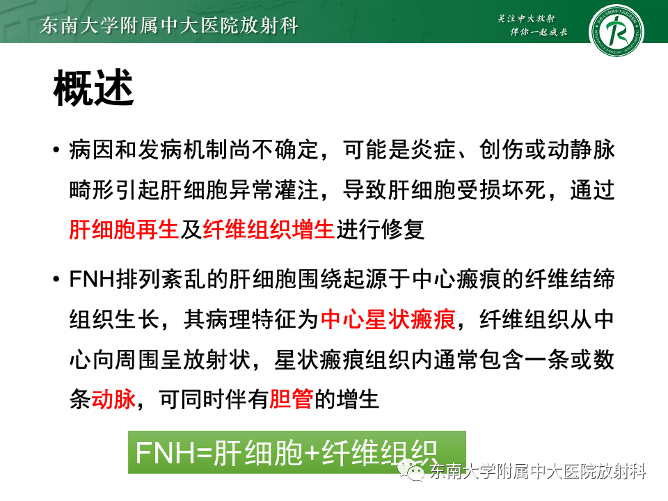 影像PPT - 【PPT】肝脏局灶性结节增生-9