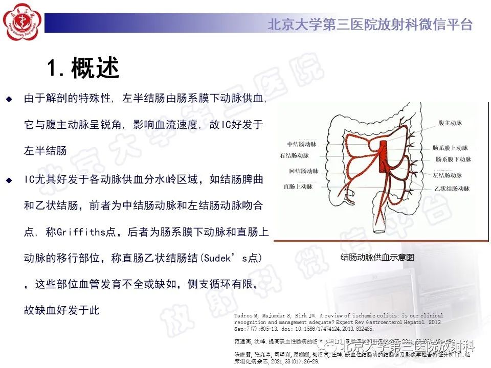 影像PPT - 【PPT】缺血性肠炎-12
