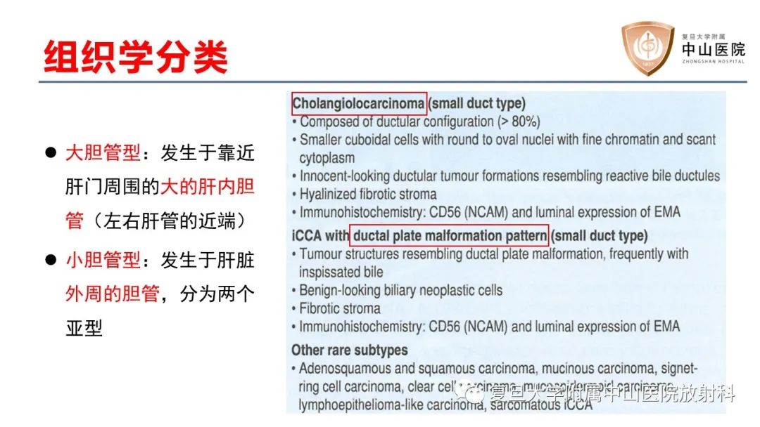 影像PPT - 【病例】肝内胆管细胞癌2例MR影像-10