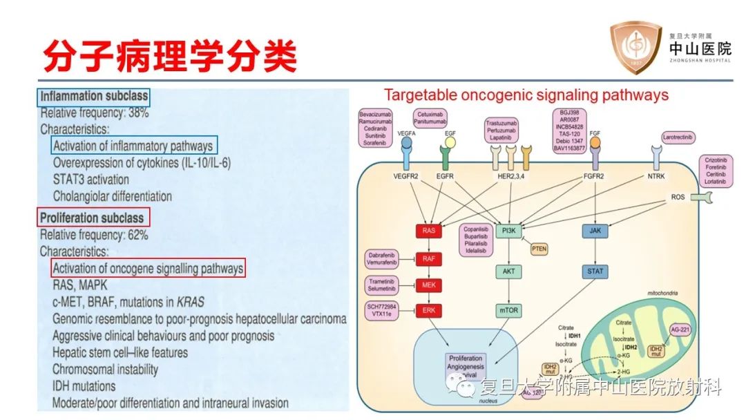 影像PPT - 【病例】肝内胆管细胞癌2例MR影像-18