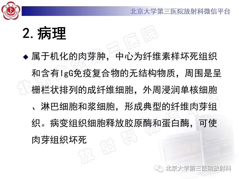 影像PPT - 【PPT】肺类风湿结节-11