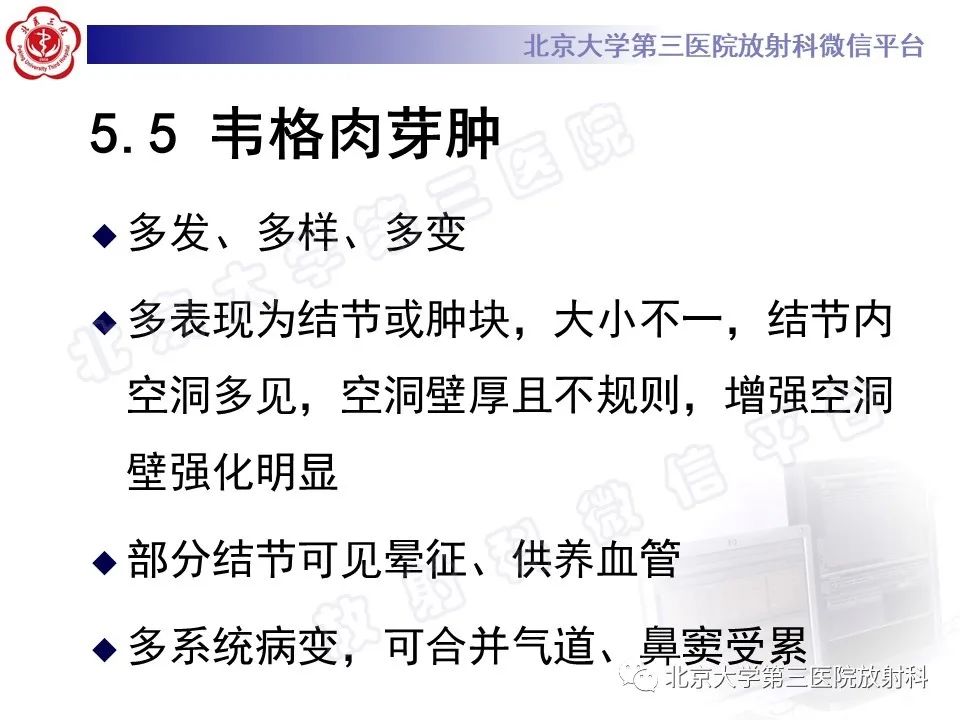 影像PPT - 【PPT】肺类风湿结节-30