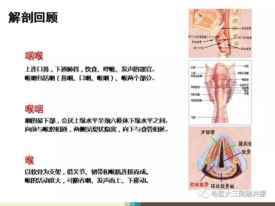 影像PPT - 【PPT】喉癌与磁共振成像-3