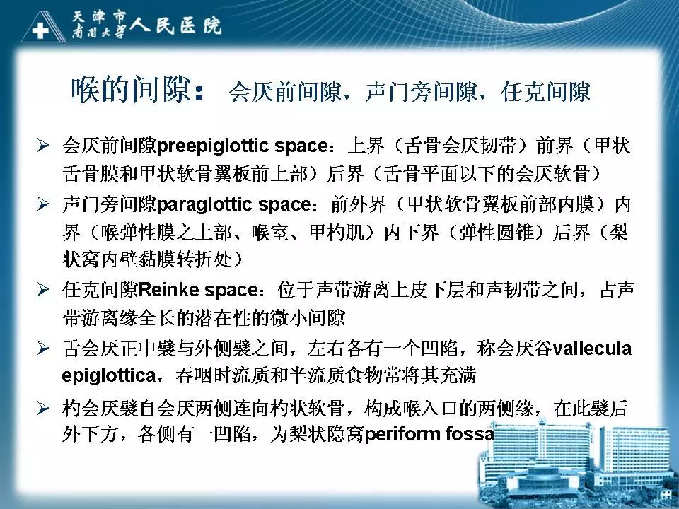 影像PPT - 【PPT】喉的应用解剖与影像解剖-11
