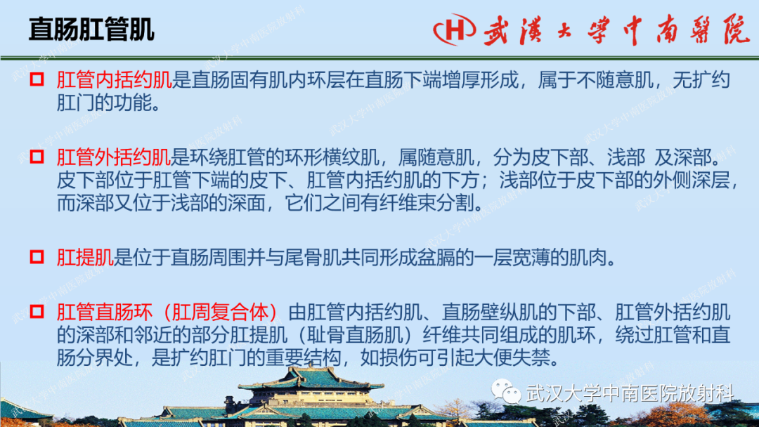影像PPT - 【PPT】直肠癌的MRI诊断及分期-6