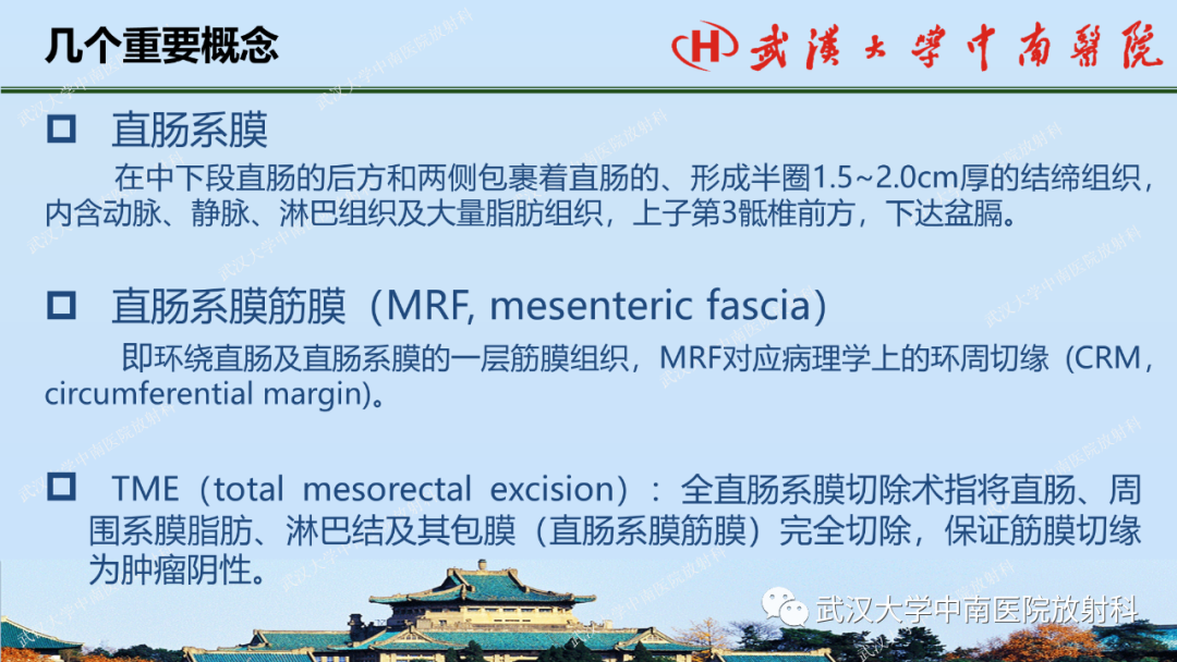 影像PPT - 【PPT】直肠癌的MRI诊断及分期-10
