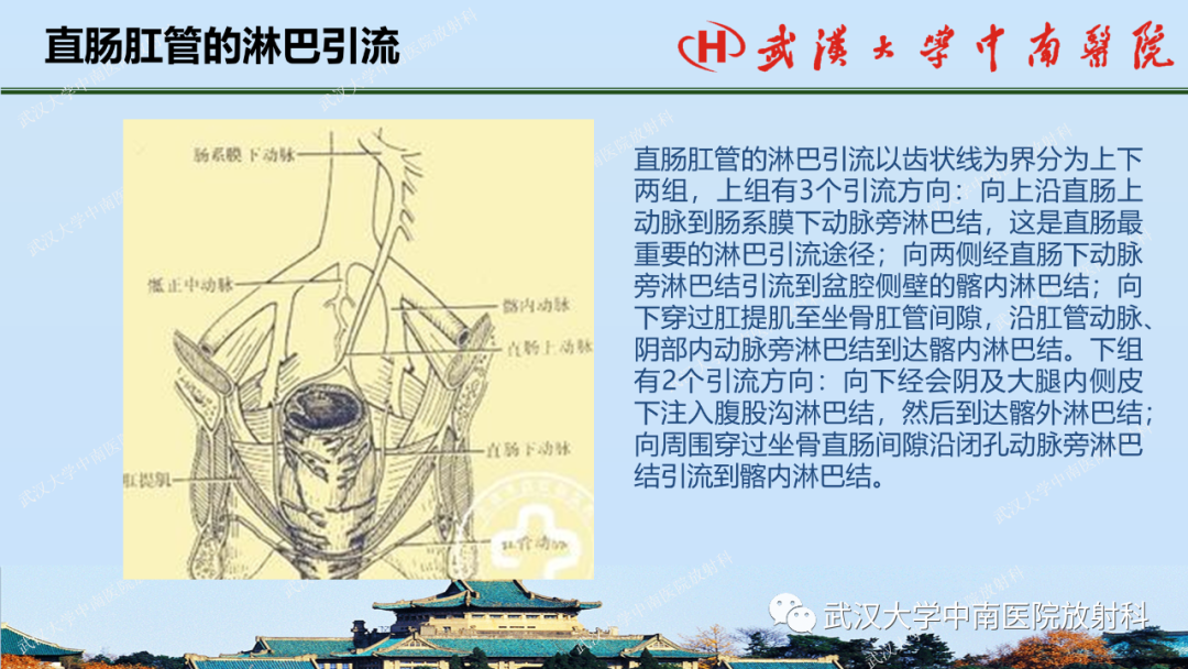 影像PPT - 【PPT】直肠癌的MRI诊断及分期-9