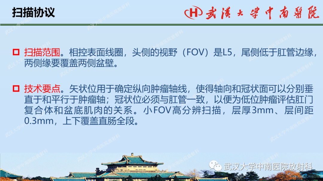 影像PPT - 【PPT】直肠癌的MRI诊断及分期-15