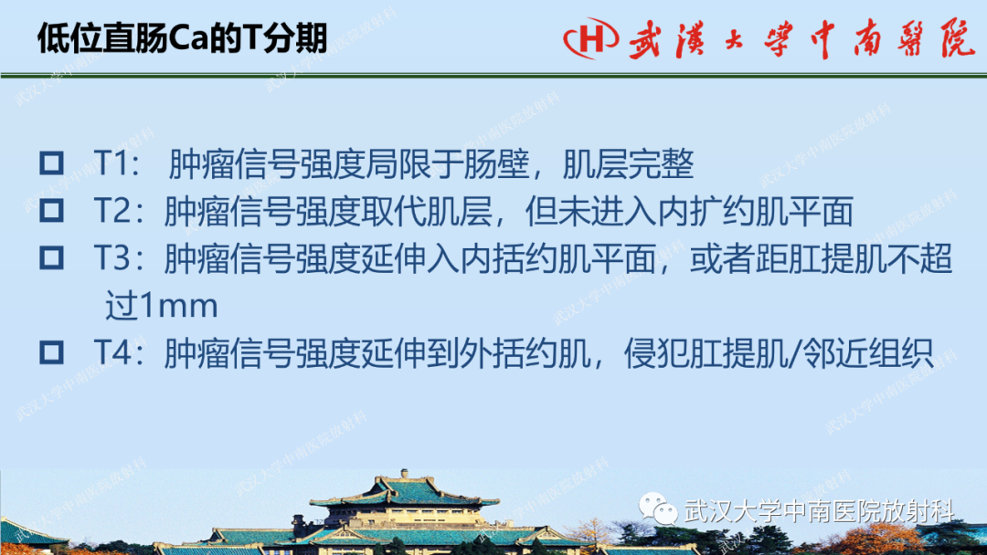 影像PPT - 【PPT】直肠癌的MRI诊断及分期-26