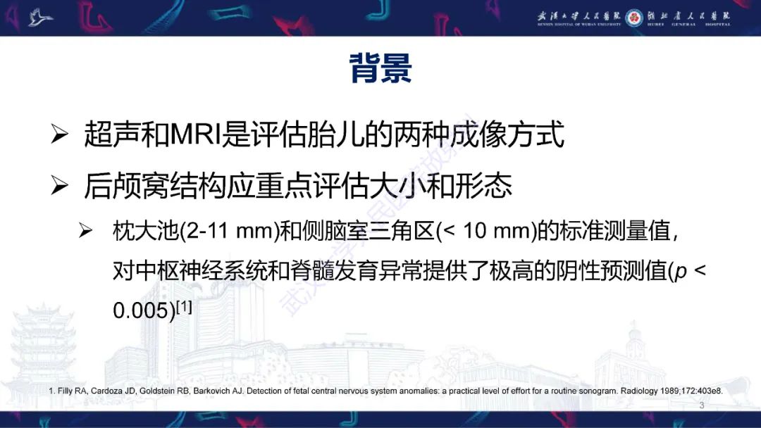 影像PPT - 【PPT】胎儿后颅窝畸形MRI诊断-3