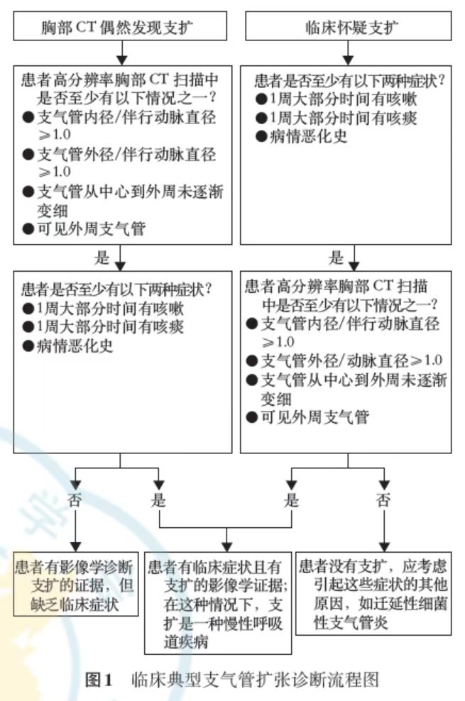 影像PPT - 支气管扩张的影像学和临床诊断标准-1 影像PPT - 支气管扩张的影像学和临床诊断标准-1