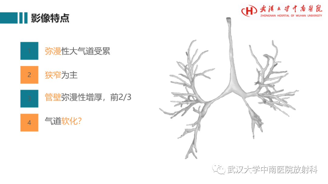 影像PPT - 【病例】复发性多软骨炎1例影像鉴别诊断-8