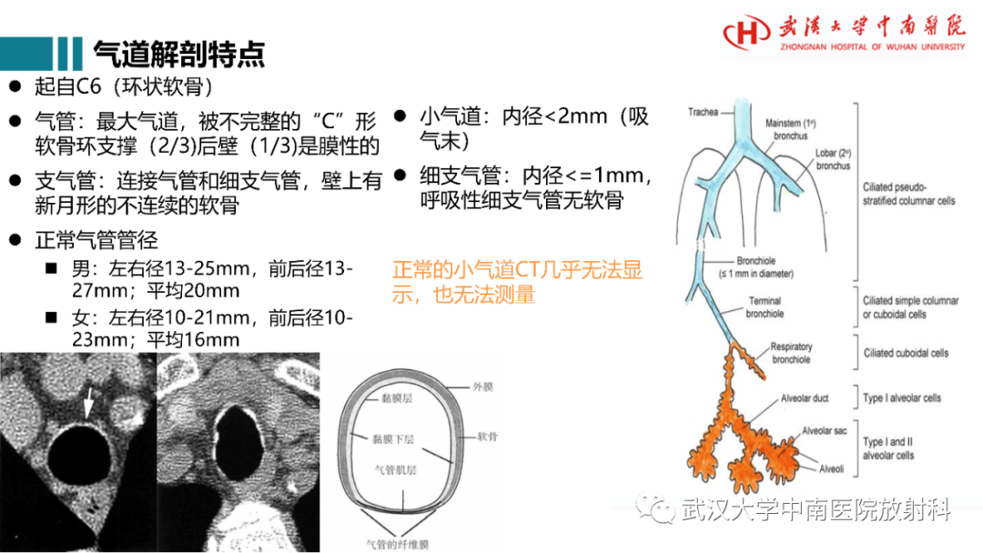 影像PPT - 【病例】复发性多软骨炎1例影像鉴别诊断-13