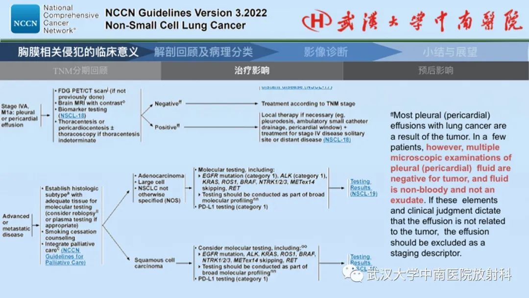 影像PPT - 【PPT】如何影像评估肺癌胸膜侵犯-5