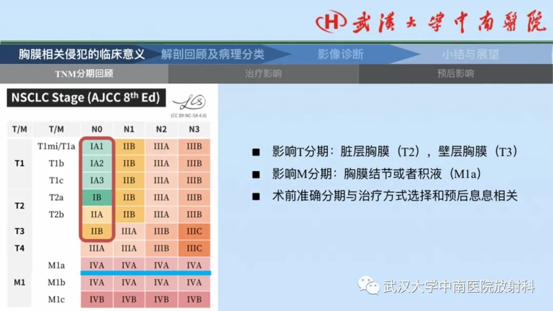 影像PPT - 【PPT】如何影像评估肺癌胸膜侵犯-3