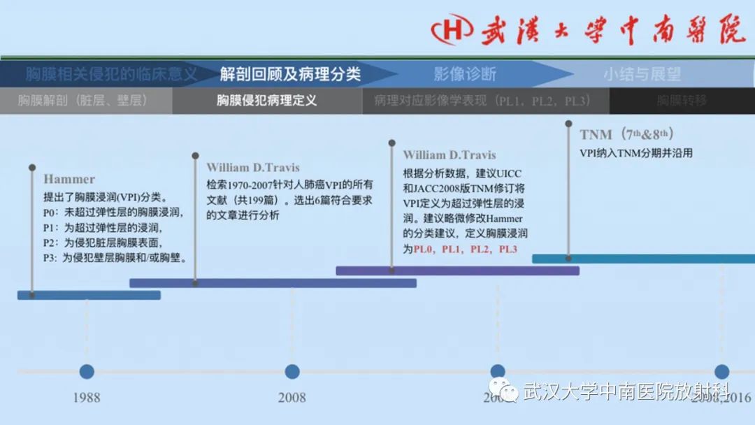 影像PPT - 【PPT】如何影像评估肺癌胸膜侵犯-10
