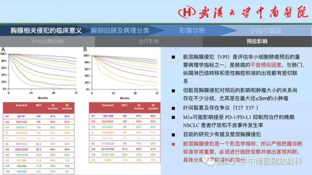 影像PPT - 【PPT】如何影像评估肺癌胸膜侵犯-6