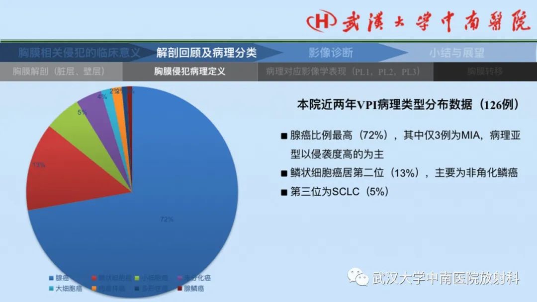 影像PPT - 【PPT】如何影像评估肺癌胸膜侵犯-12
