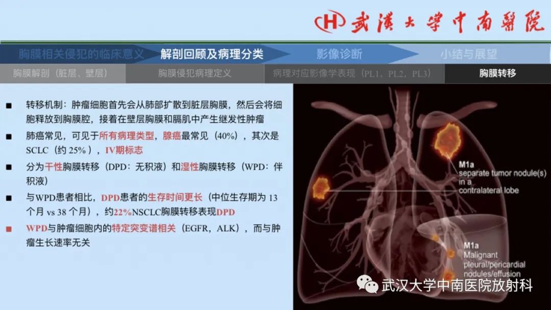 影像PPT - 【PPT】如何影像评估肺癌胸膜侵犯-22