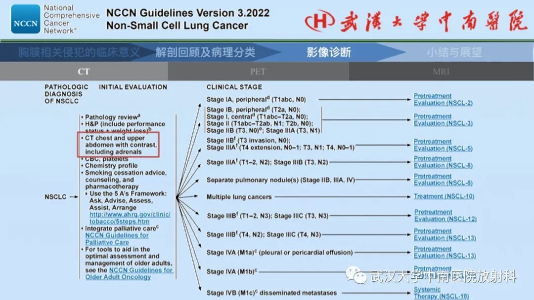 影像PPT - 【PPT】如何影像评估肺癌胸膜侵犯-27