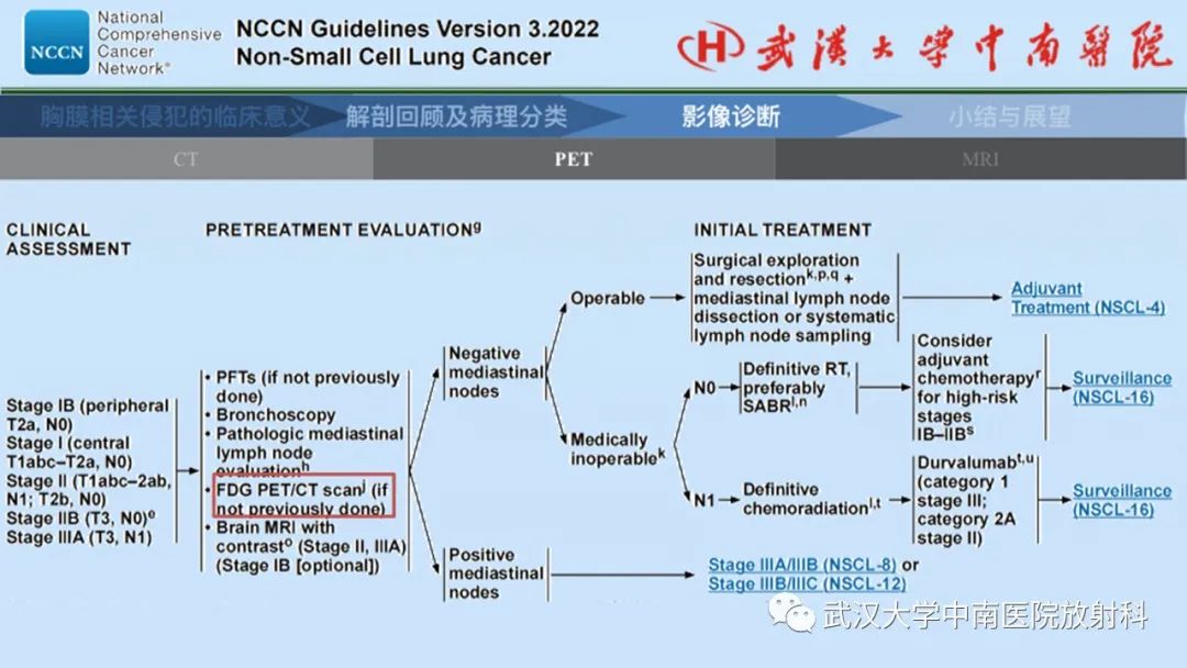 影像PPT - 【PPT】如何影像评估肺癌胸膜侵犯-44