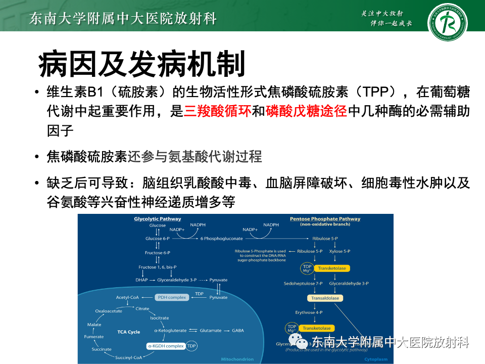影像PPT - 【PPT】Wernicke脑病-8 影像PPT - 【PPT】Wernicke脑病-8