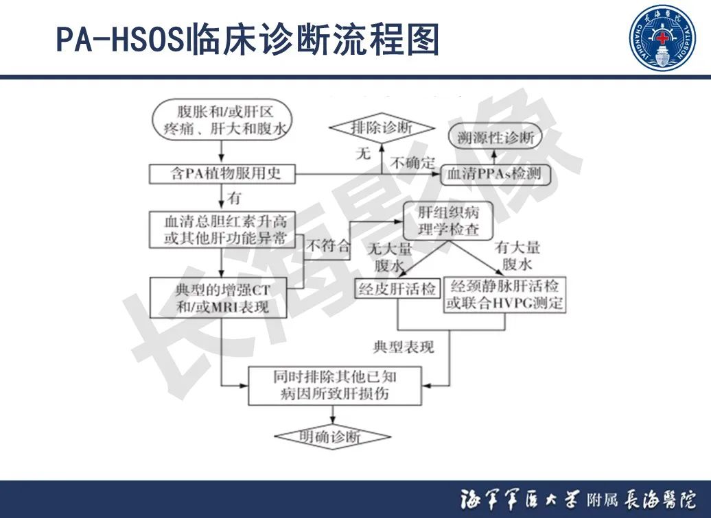 影像PPT - 【PPT】肝窦阻塞综合征的影像学诊断-16