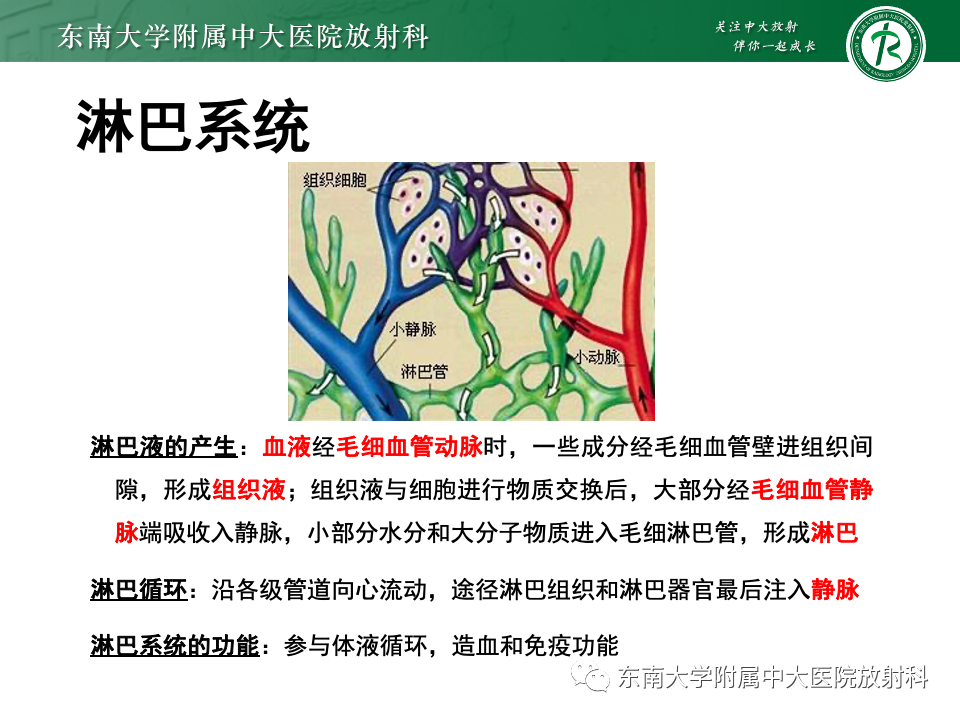 影像PPT - 【PPT】多发性淋巴结增大影像诊断思路-5