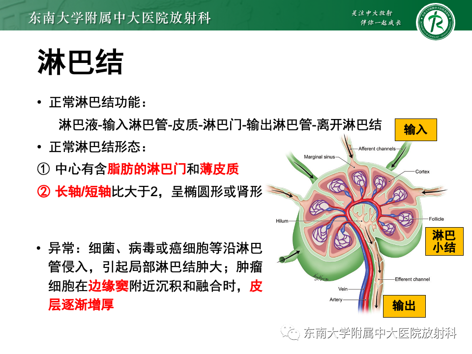 影像PPT - 【PPT】多发性淋巴结增大影像诊断思路-6