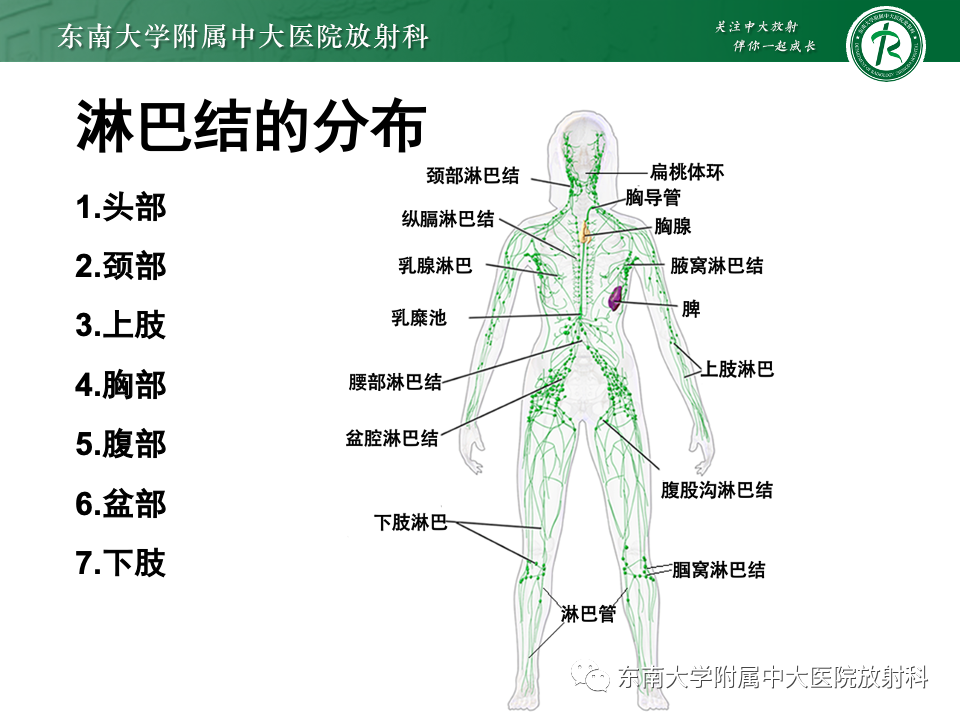 影像PPT - 【PPT】多发性淋巴结增大影像诊断思路-7
