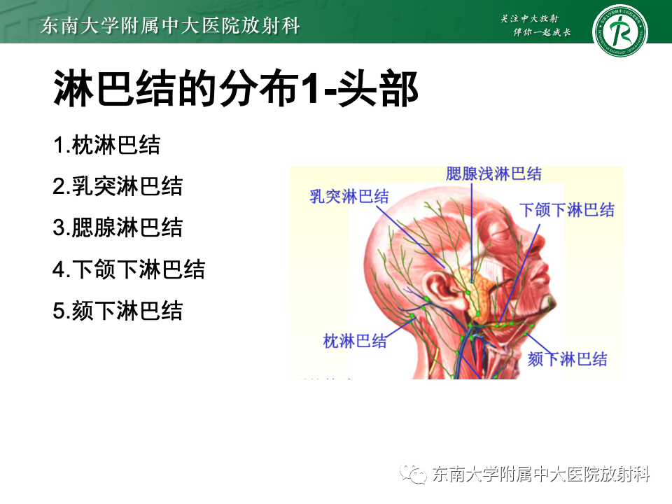 影像PPT - 【PPT】多发性淋巴结增大影像诊断思路-8