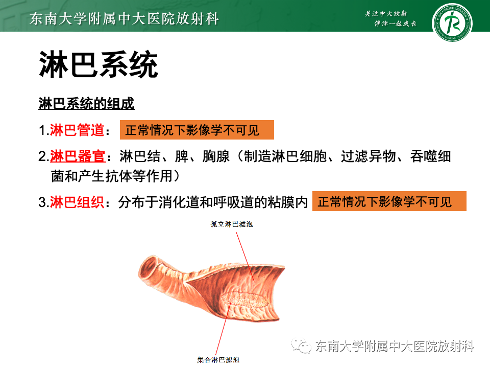 影像PPT - 【PPT】多发性淋巴结增大影像诊断思路-4