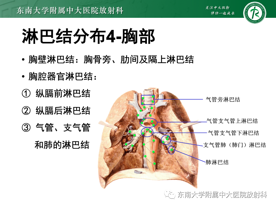 影像PPT - 【PPT】多发性淋巴结增大影像诊断思路-11