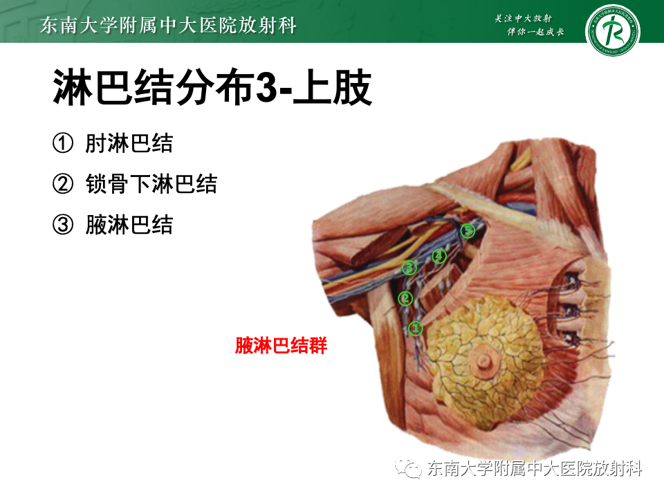 影像PPT - 【PPT】多发性淋巴结增大影像诊断思路-10