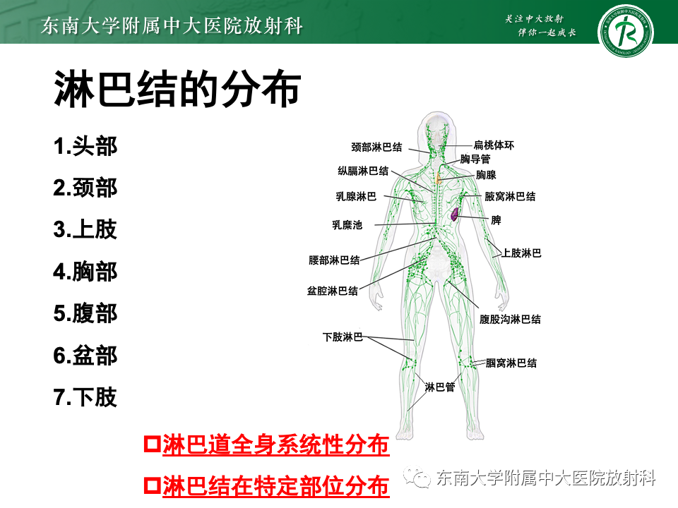 影像PPT - 【PPT】多发性淋巴结增大影像诊断思路-14