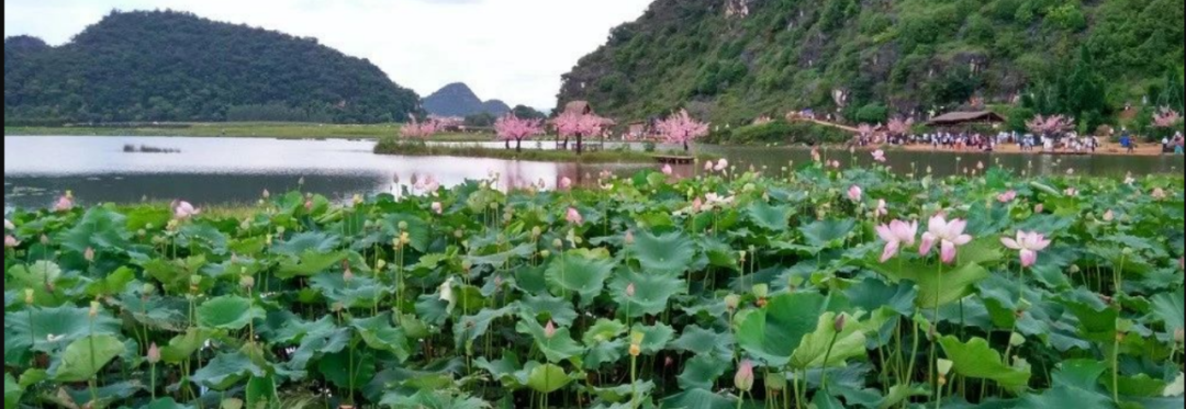 影像PPT - 非常有趣的肺CT莲蓬征,你见过吗?-3 影像PPT - 非常有趣的肺CT莲蓬征,你见过吗?-3