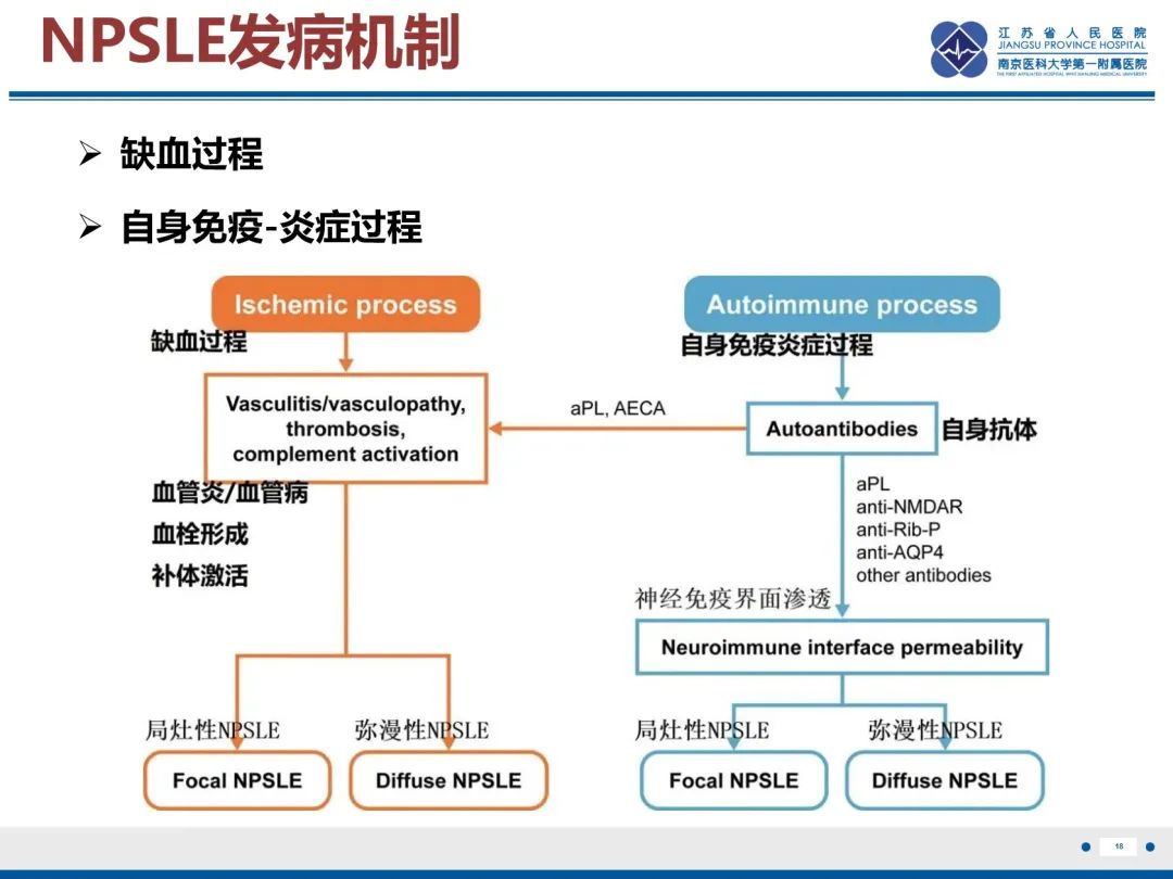 影像PPT - 【PPT】中枢神经系统红斑狼疮-19