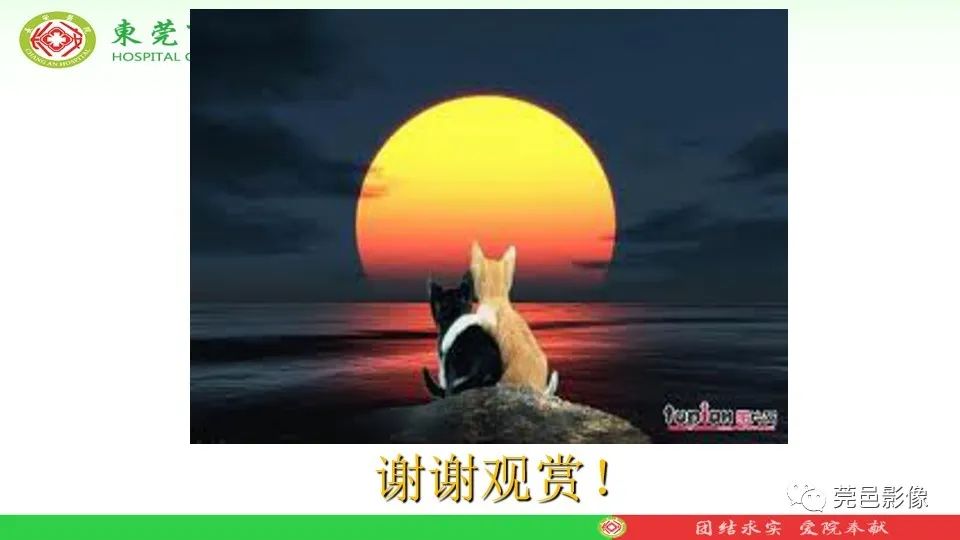 影像PPT - 【PPT】MRI征象在腮腺占位良恶性鉴别中的应用-84