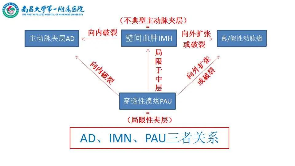 影像PPT - 【PPT】腹部血管性病变急腹症的影像诊断-55