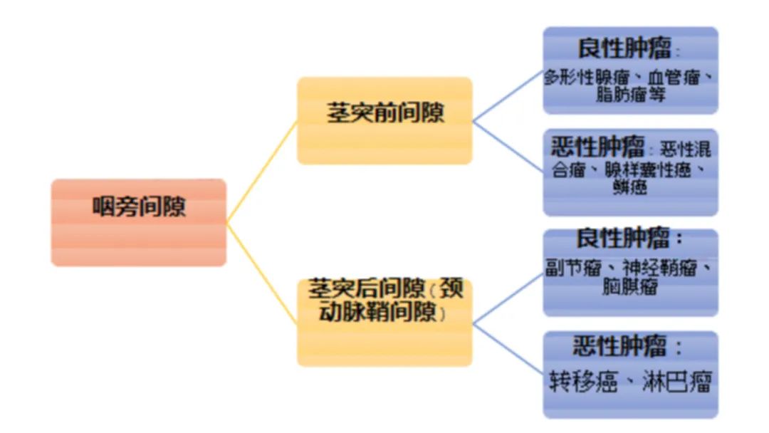 影像PPT - 【病例】咽旁间隙多形性腺瘤1例MR影像鉴别-11 影像PPT - 【病例】咽旁间隙多形性腺瘤1例MR影像鉴别-11