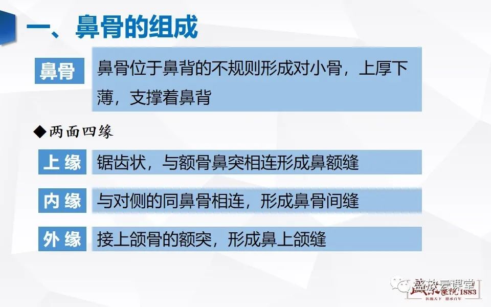 影像PPT - 【PPT】鼻骨正常CT解剖、变异与骨折-3