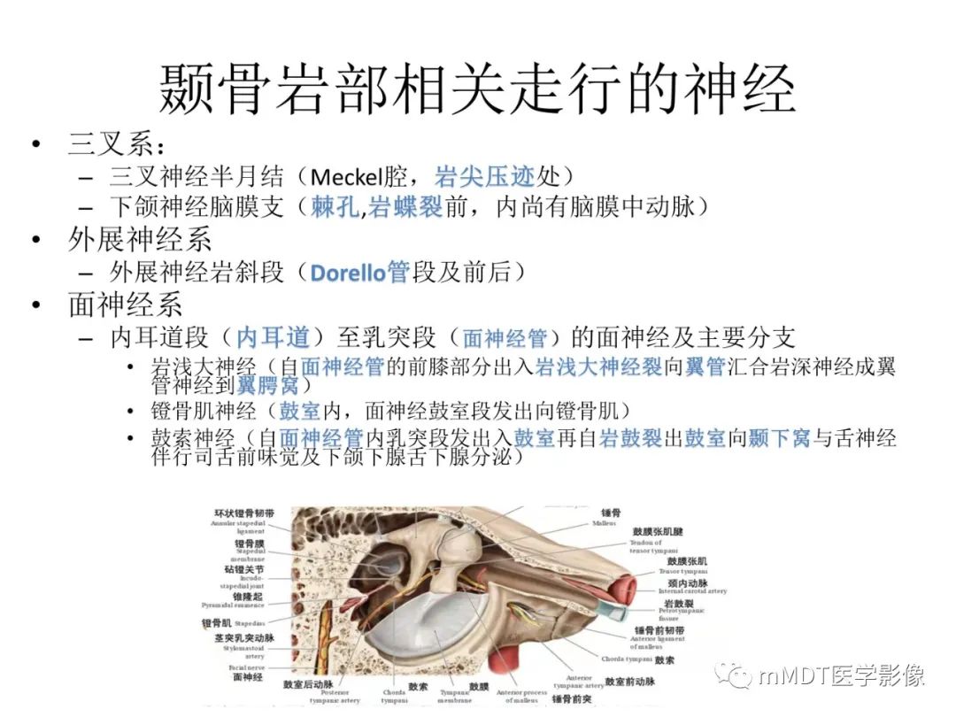 影像PPT - 【病例】岩洞深处藏神仙—穿行在颞骨岩部的神经们-17