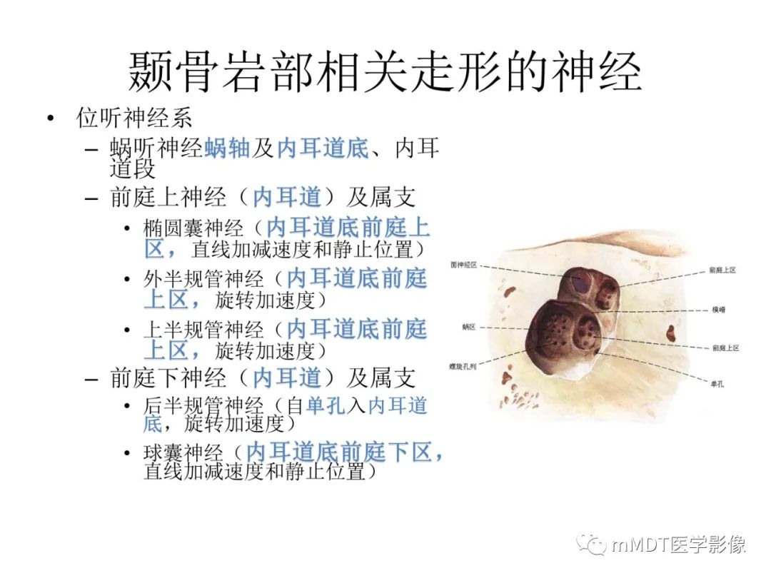 影像PPT - 【病例】岩洞深处藏神仙—穿行在颞骨岩部的神经们-18