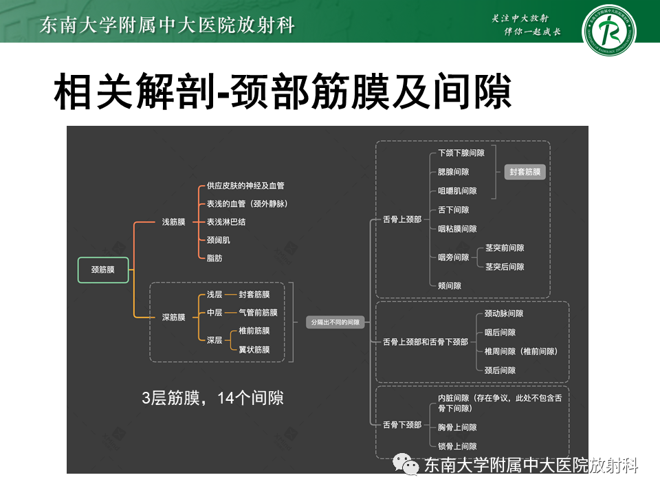 影像PPT - 【PPT】颌面部横纹肌肉瘤-5
